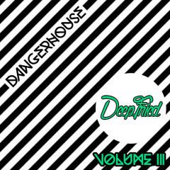 Dangerhouse Music Volume III (Deep Fried)
