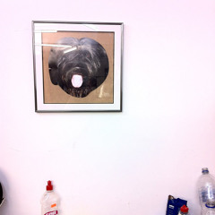 Fiium Shaarrk - Versions, Remixes and Mashups