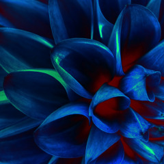 Kyson - Dragon Years (70 edit)