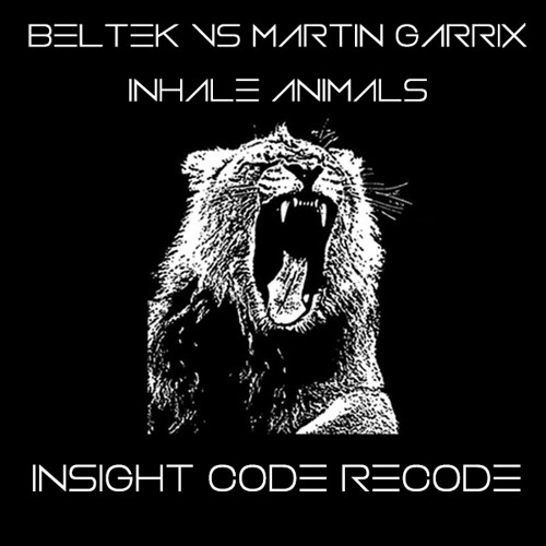 Beltek vs Martin Garrix - Inhale Animals (Insight Code Re-Code)