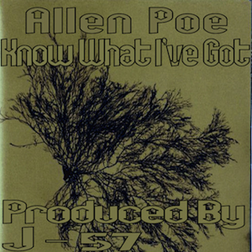 Know What I've Got (Produced by J57) [Pocket Full Of Ohms]