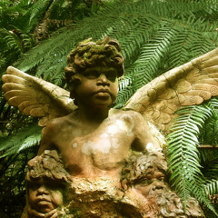 New wings