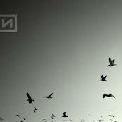 Nine Inch Nails - Dubstep Set - DJ GOOSE AKA Don O'Toole