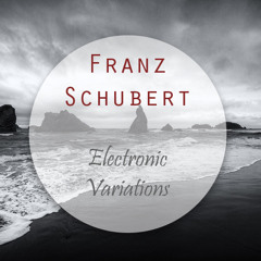 Franz Schubert - Electronic Variations (Original Mix)