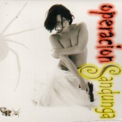 David Diambulante  SPIDER RECORDS #1 operacion sandunga