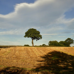 Through September's Promised Fields