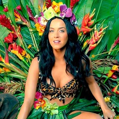 Katy Perry-Roar instrumental official remix