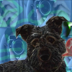 Free (Cudi Remix) - TYE