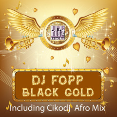 Dj Fopp - Black Gold (Cikodj Afro Mix)
