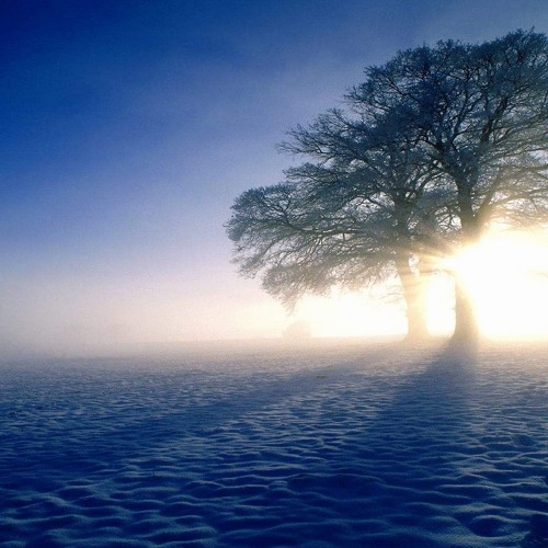 Hope (Original Mix) *Downloads in desc (part I & II)*