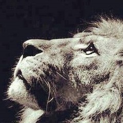 Roar (Cover By Tanner Patrick)