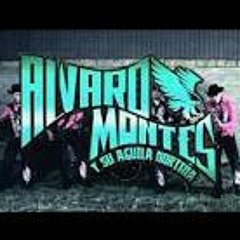 Mi Vida Eres Tu- Alvaro Montes Y Su Aguila Nortena