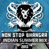 Non Stop Bhangra - Indian Summer Mix 2013 (DJ Jimmy Love)
