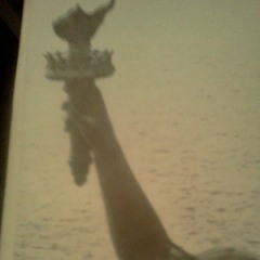 What Am I Supposed To Do (The Wind) free dl