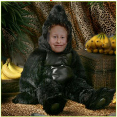 Come On Don't (Really)