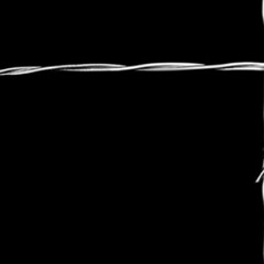 Torn (From The Inside)