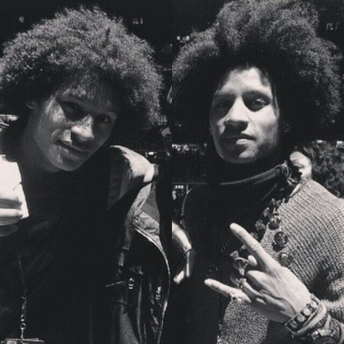 twins