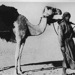 قسم وأرزاق..... هذا هو الحقد
