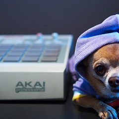 AKAI MPC with MXL 860 Ribbon Test on Horns (Brass)