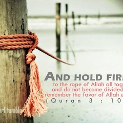 Seeing Allaah on the Last Day