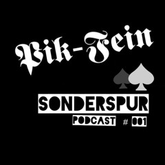 PIK-FEIN @ SONDERSPUR - opening ⎜ POD. #001 ⎜ 08.09.13