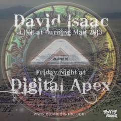 David Isaac - Live @ Burning Man 2013 / Digital Apex Stage