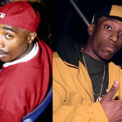 Flamboyant - Big L feat. Tupac (AL Din PF Remix)