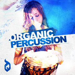 DGS38 Organic Percussion -  Sample Library - Exclusive at Loopmasters