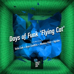 Days of Funk - Flying Cat (Original Mix) Release date - 2013-09-09