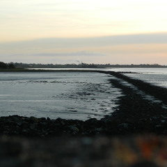 O Waly Waly/The Water Is Wide