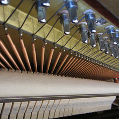 Thumps In Orbit (Dressed)