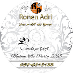 Mashup The Party 2013 By Dj Ronen Adri