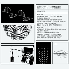 A2 - The KVB - Shadows
