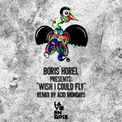Boris Horel "Wish I Could Fly" (Acid Mondays Rmx) xtract