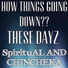 THESE DAYZ FT CHINCHEKA