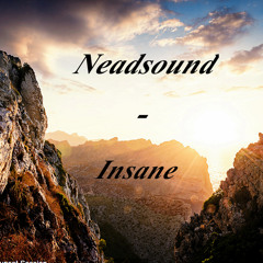 Neadsound - Insane (Original Mix)