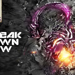 Crypsis vs SuddenBeatz & Tinker Hatfield - Break Down Low Decibel 2013 (D-Marvelous Edit)