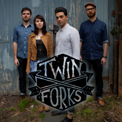 Twin Forks - I Saw The Light (Hank Williams Cover)