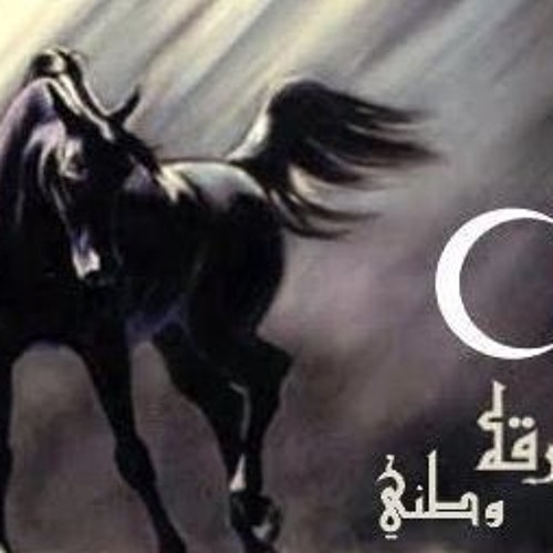 برقه ماتقدر تقربها