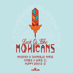Last Of The Mohicans By Puppy Disco