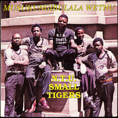 N.T.U. Small Tigers - Emhlabeni My Lord Kwangizuma