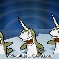 Narwhals