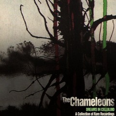 The Chameleons - Nostalgia [1983]