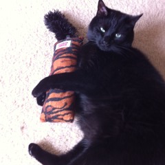 Taylor Swift - I Knew You Were Trouble (Violin Cover for 2)