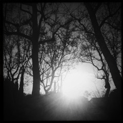 NXV ‡ LIVING WELL AMONGST THE WOLVES