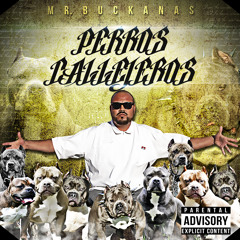 MR BUCKANAS OLDIES RAP -EN ESTA ERA-