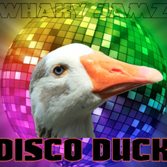 Disco Duck