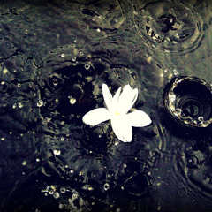 Waiting 'till Raining II