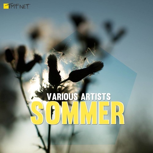 Sommersonne Unterm Po (snippet) TMF Net #005