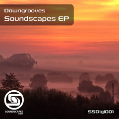Downgrooves feat. Chris Sterio - Passage Of Time *Free Download*
